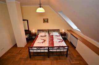 Отель Dwor Osieczek Pniewy Просторный двухместный номер с 2 отдельными кроватями-1